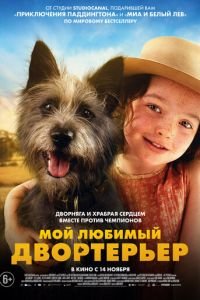 Мой любимый двортерьер